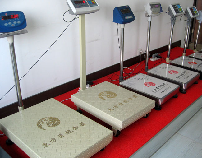 TCS-ZDD3 折疊式電子臺(tái)秤