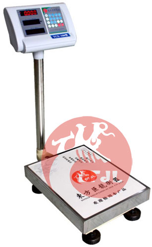 TCS-D3 固定式支架電子臺(tái)秤